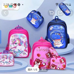3in1 sch bag